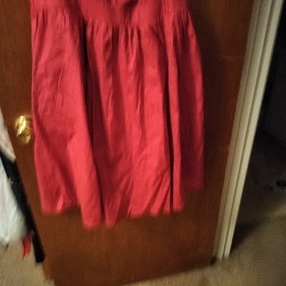 Raspberry Tank Dress (Torrid) - Picture 5 of 6